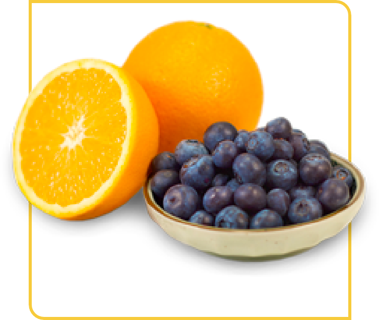 An orange and a bowl of blueberries.